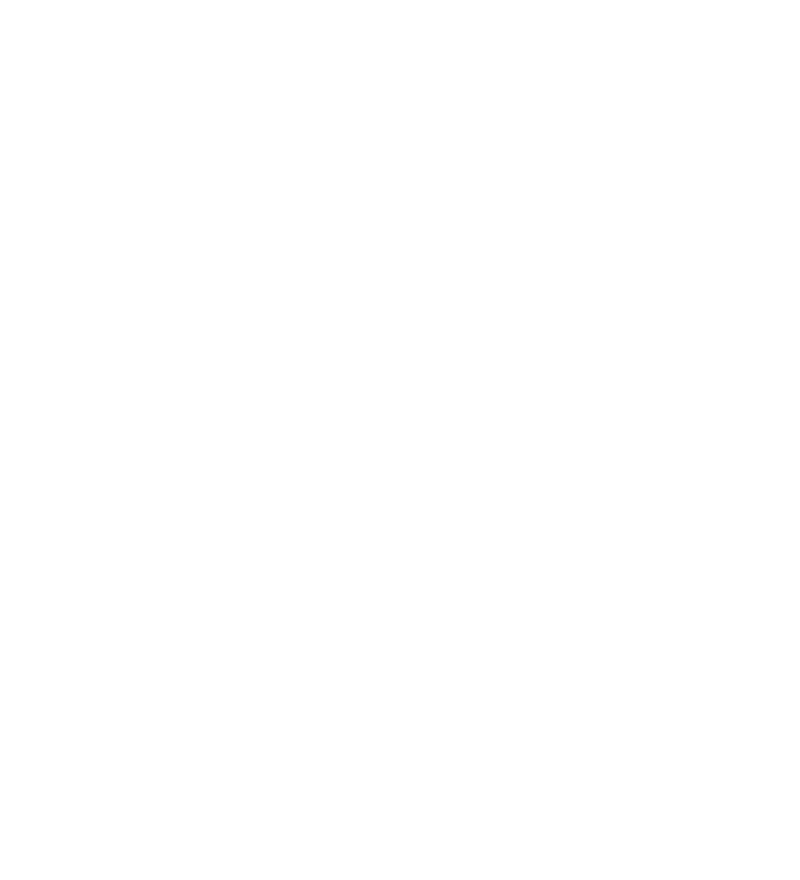 Graphic of a poppy for branding
