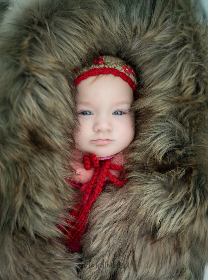_DSC0810-St Cloud Fine Art Child and Family Photographer -  Nicole Hollenkamp - Princeton MN, St Cloud MN-Edit-Edit