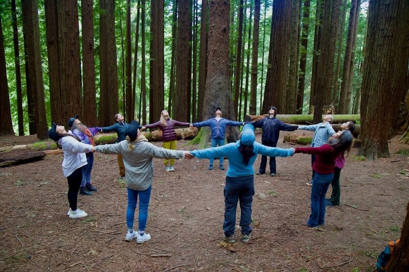 advanced-yoga-certification-heart-circle-redwoods
