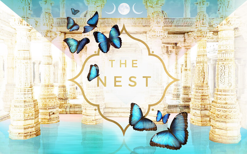 The-Nest-Banner