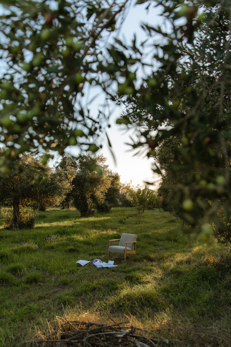 chair outside on the grass