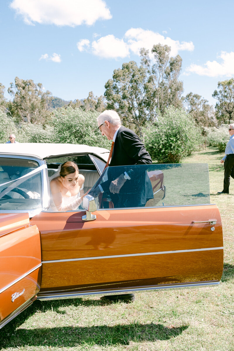 Southern Highlands White Luxury Country Olive Grove Wedding by Fine Art Film Australia Destination Wedding Photographer Sheri McMahon-37