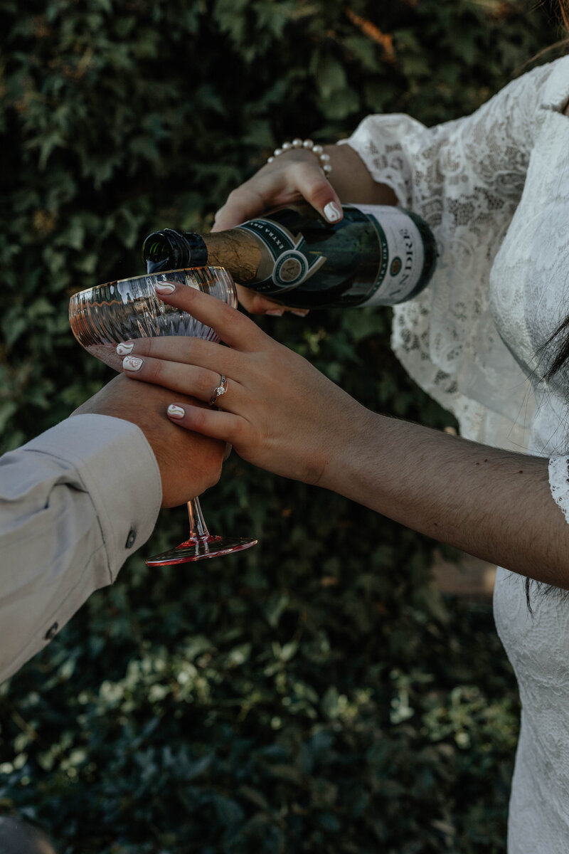 danifelipeengagements-205