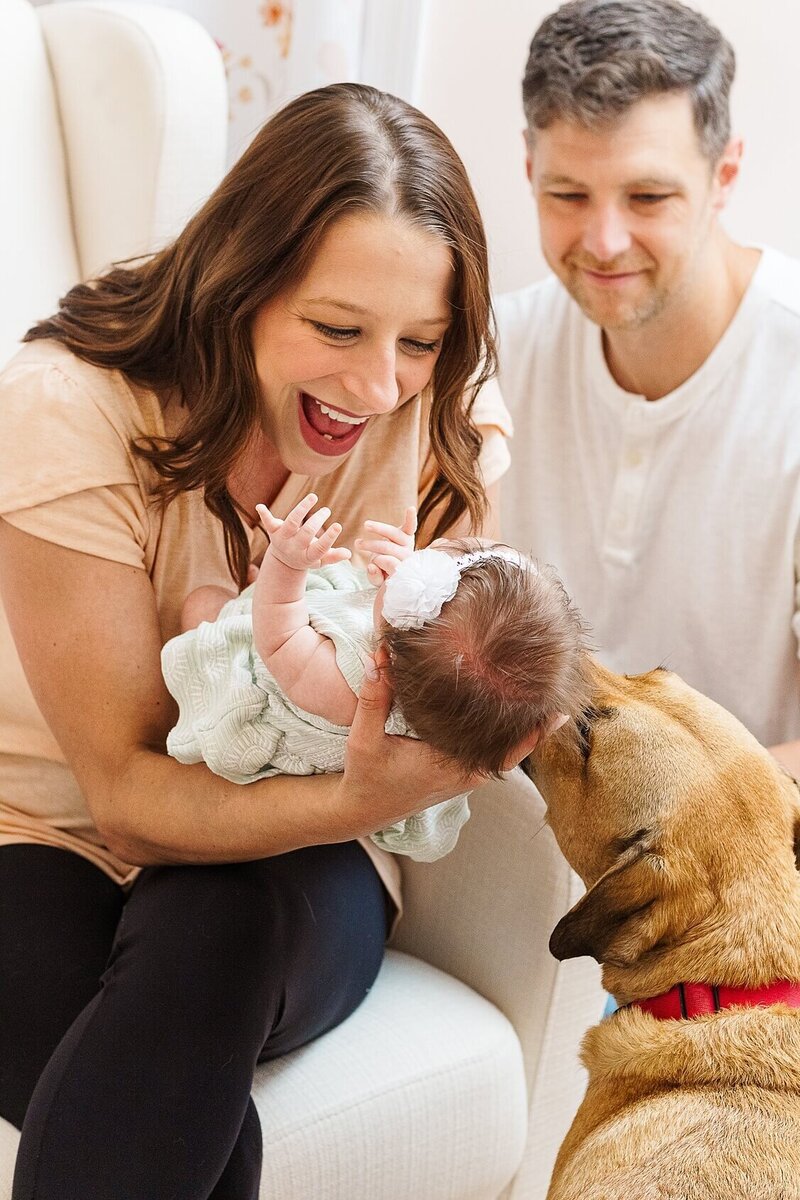 Mom is smiling at baby girl while dad is looking on.  The family dog is sniffing the new baby girl.  Taken during an in home newborn session in Wexford PA