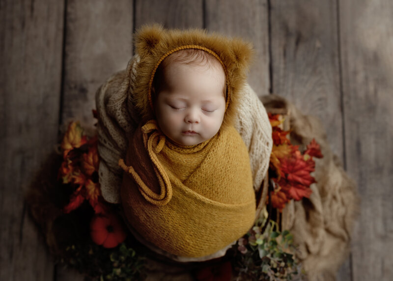 award-winning Newborn Photography in Paris, Ontario