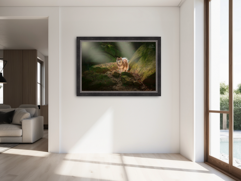 Pongo's Collection Art of Preservation
