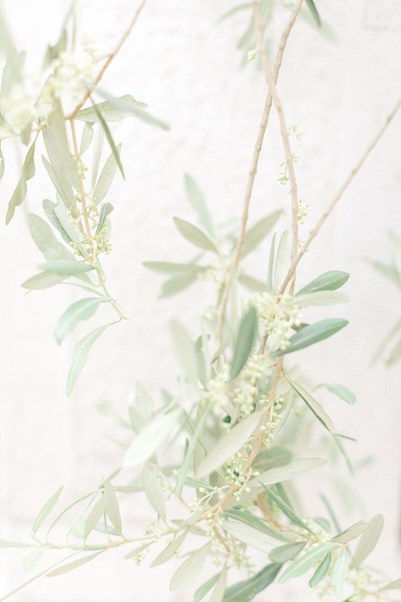 Kristin-Sautter-Photography-Minimal-2_websize