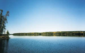 Lilshablake_nu