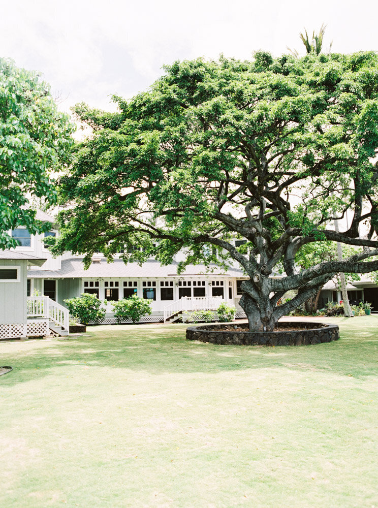 00020- Fine Art Film Hawaii Oahu Wedding Photographer Sheri McMahon