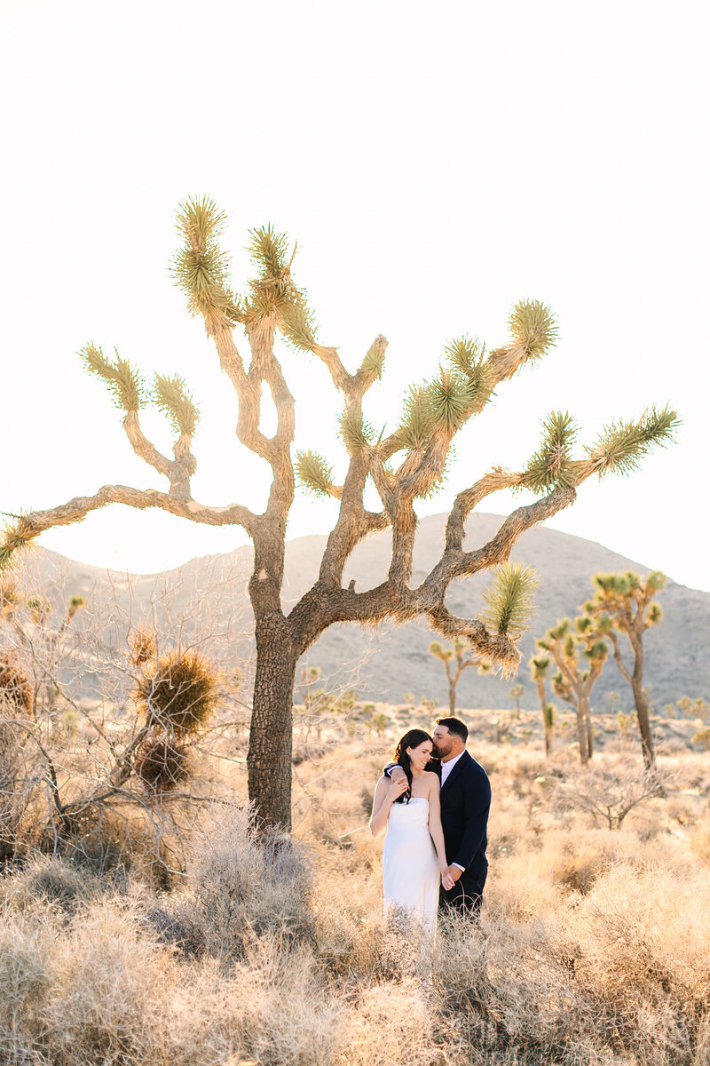 Engagement couples session at joshua tree national park