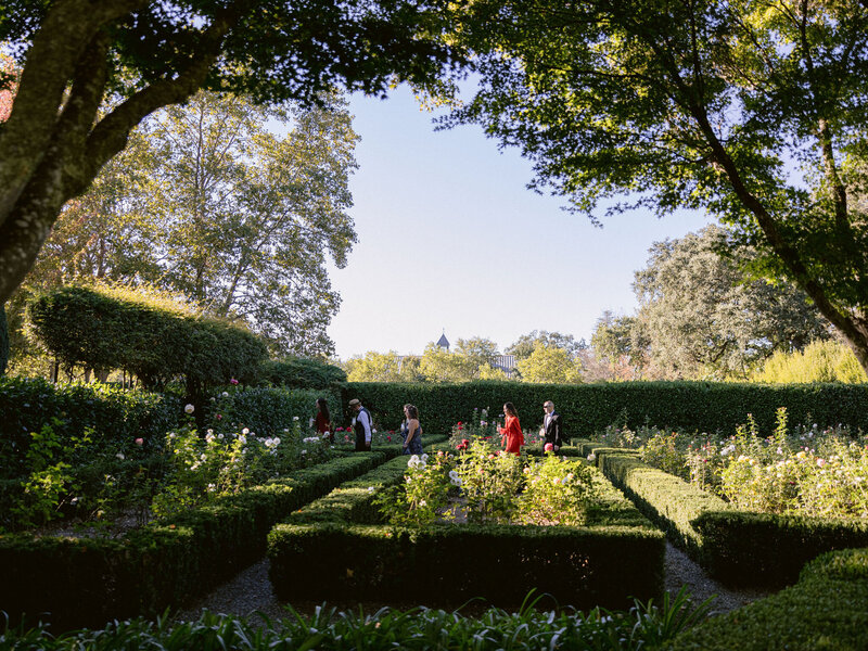 144-larissa-cleveland-wedding-california-photographer-destination-event