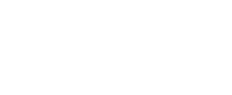 paperbird photography logo