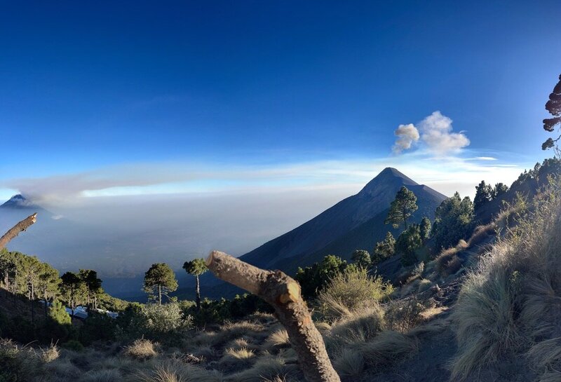 0E14BF62-8F58-4F66-8CD3-A58AD89C313F_1_105_c