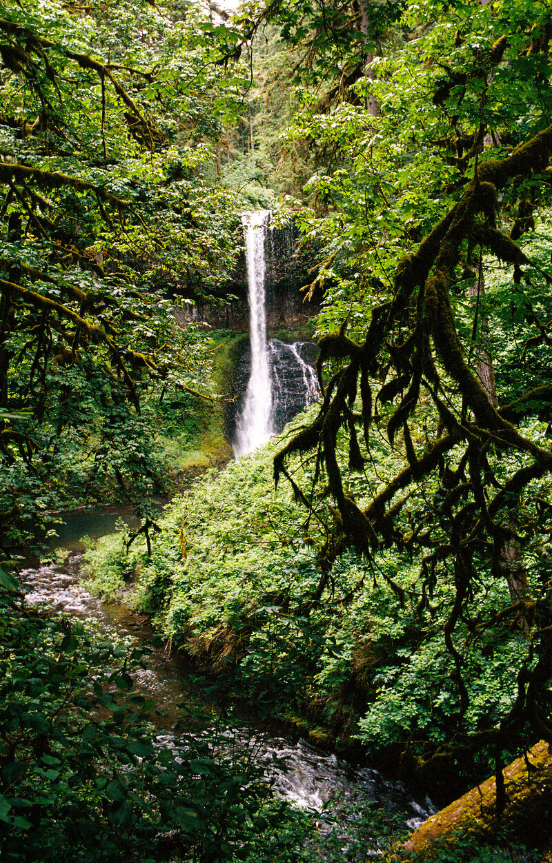 Oregon Waterfall 2