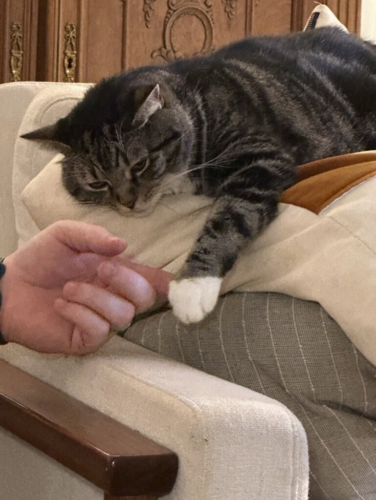 9A7D1480-02D4-4B54-BE33-64CF205665CE_1_105_c