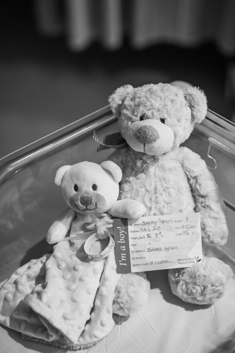 Showit Nonprofit Landing Page by Humankind