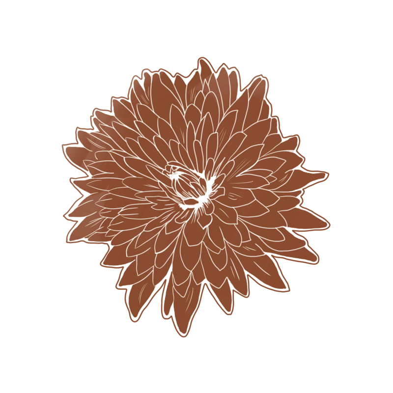 rust illustration of a flower with many small petals