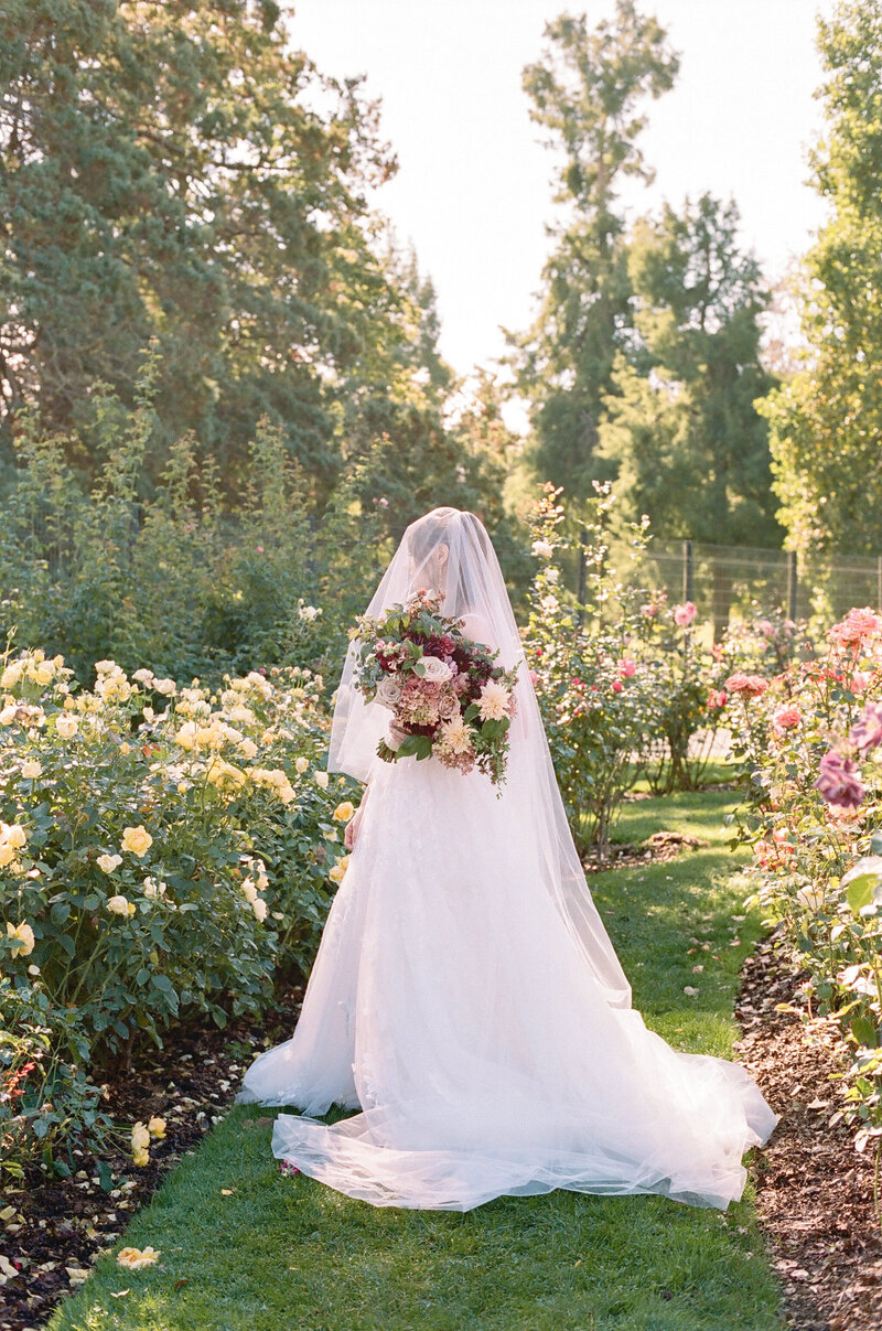 Ashlie & William - Rose Garden Session - Kerry Jeanne Photography (76 of 201)