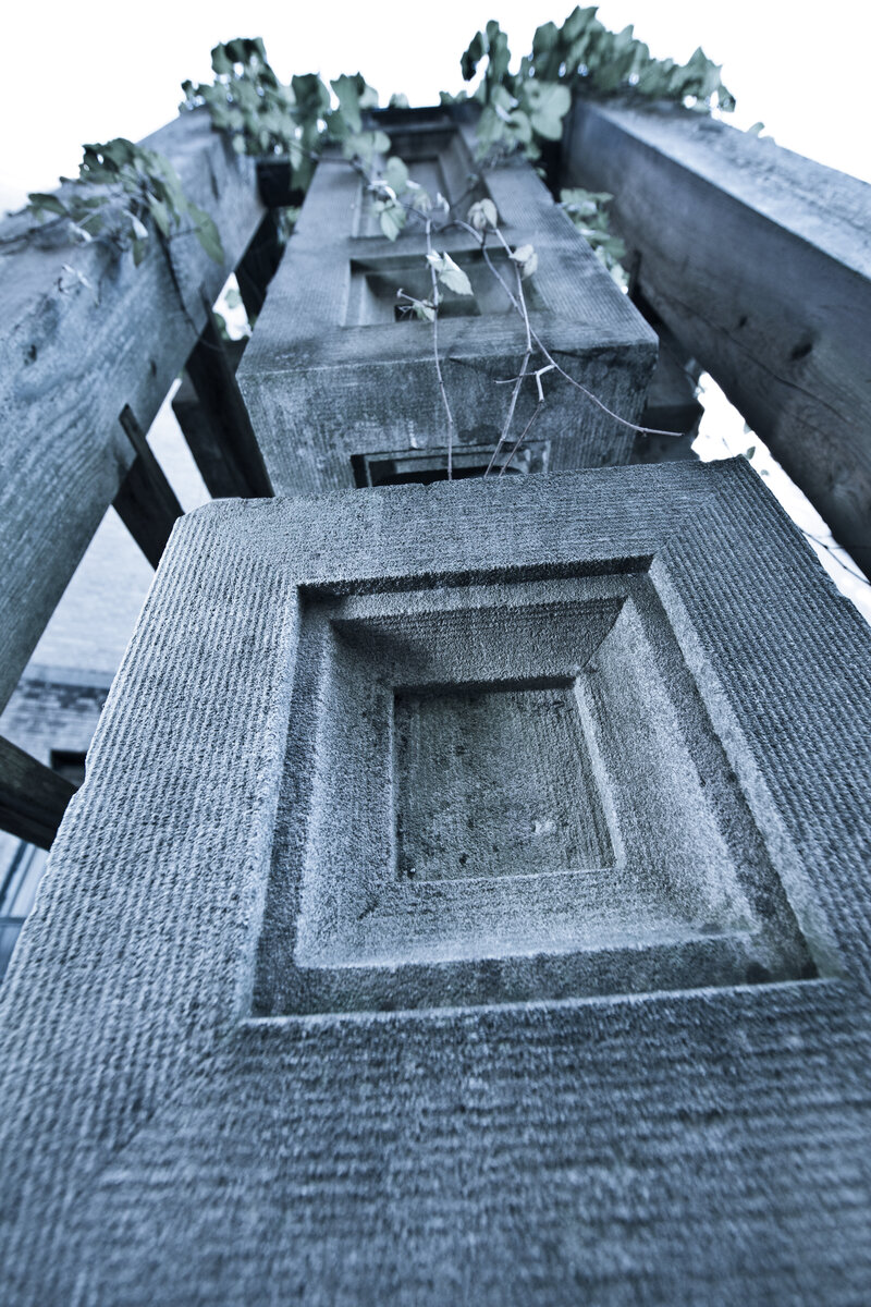 DiMeo Photo_0041