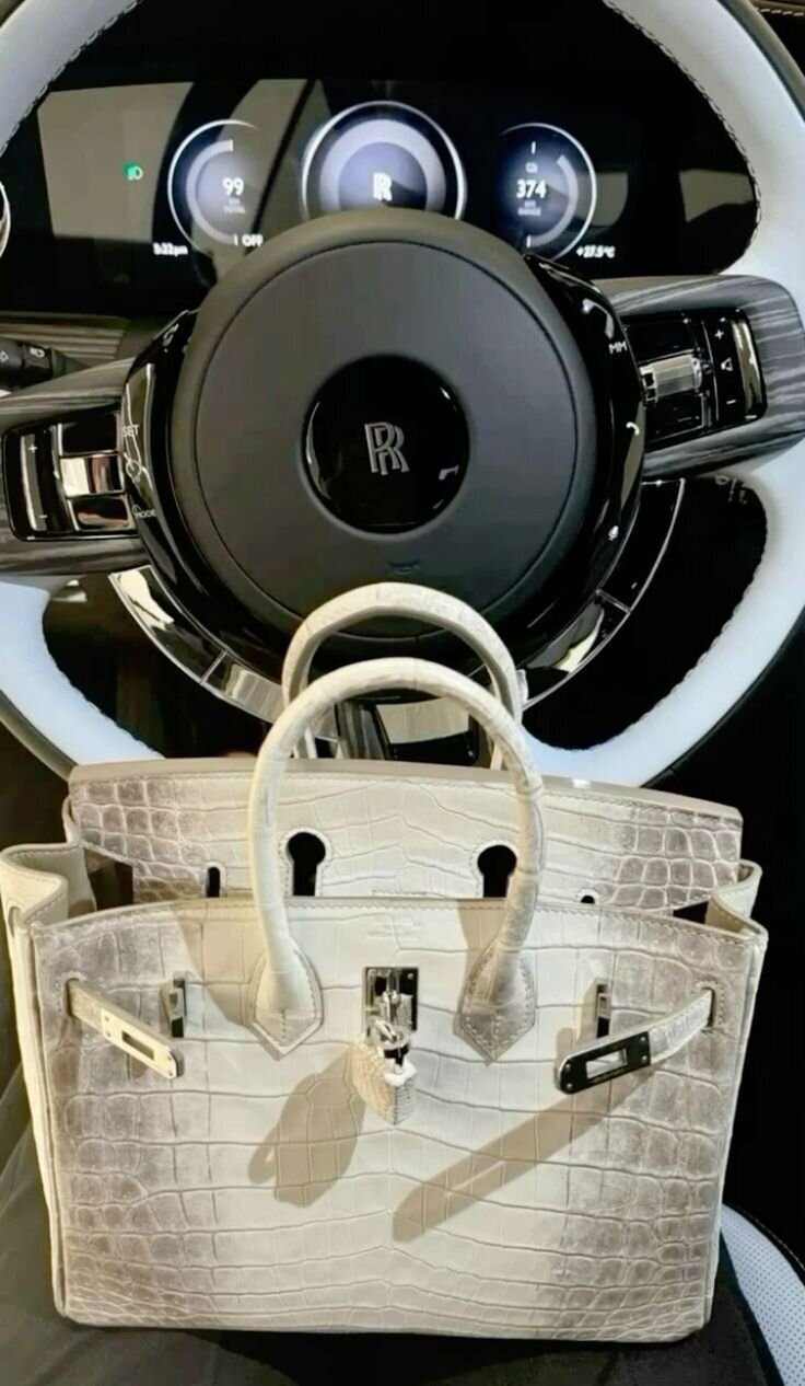 #birkin #birkinbag #birkinmomaesthetic #hermes…