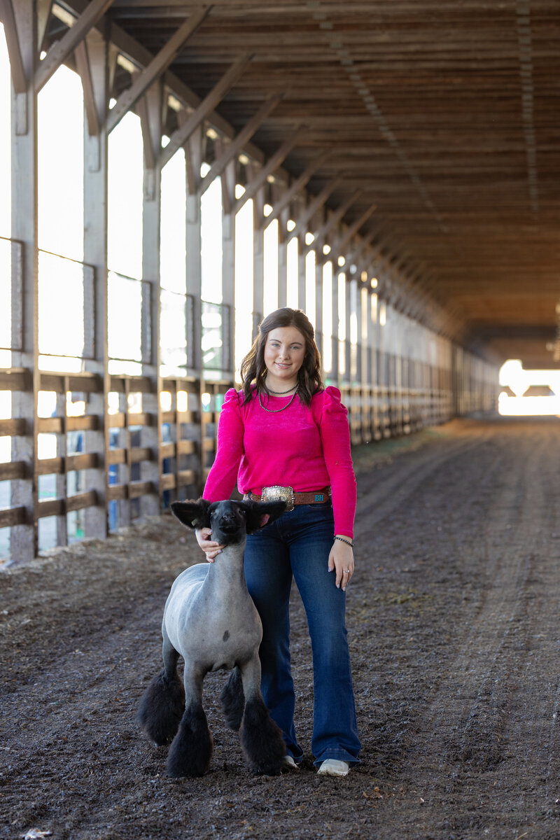 livestock photography