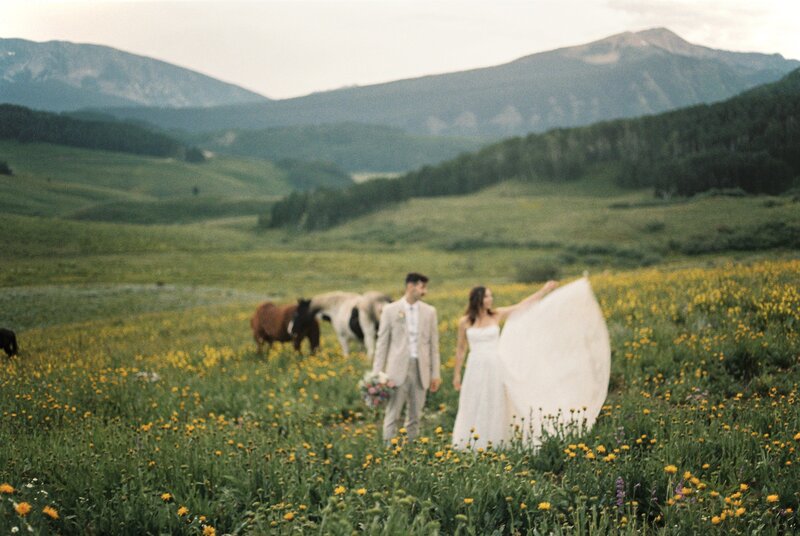 karleigh-and-jake-crested-butte-wildflower-elopement-on-35mm-film-18