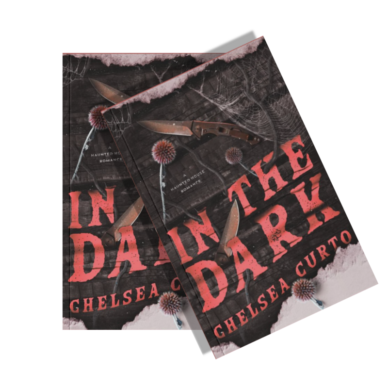 Sin Bin placeholder book cover