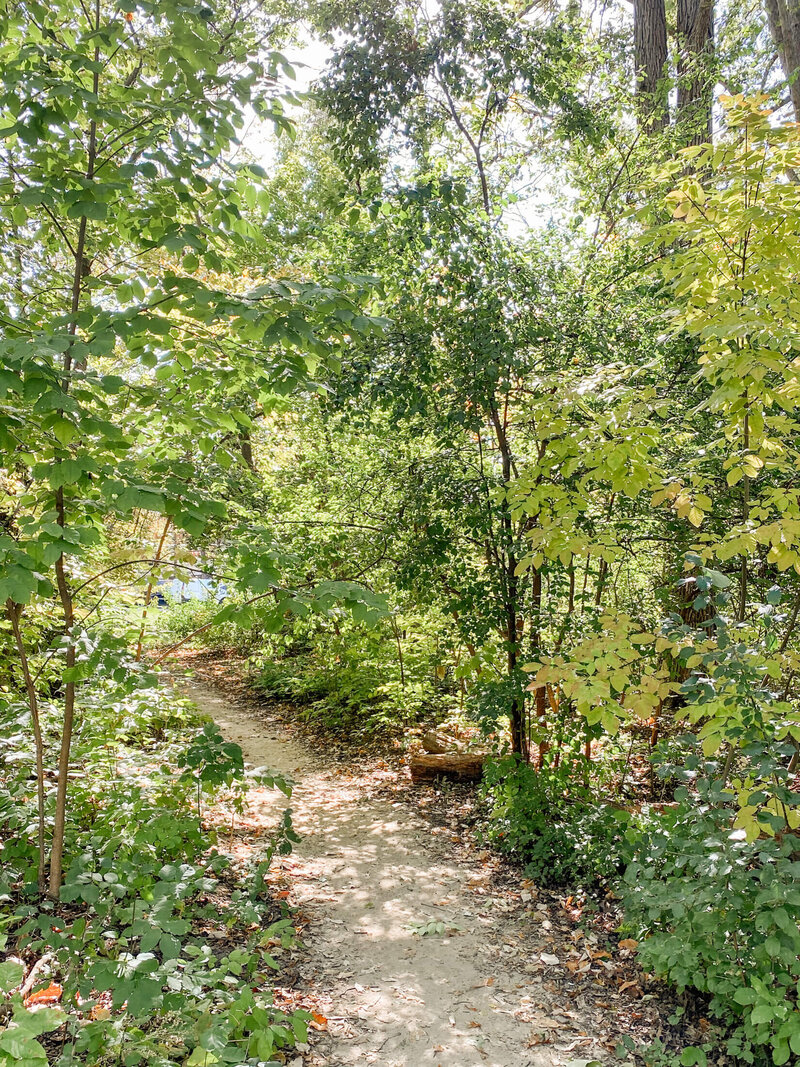 Vilas Neighborhood-4