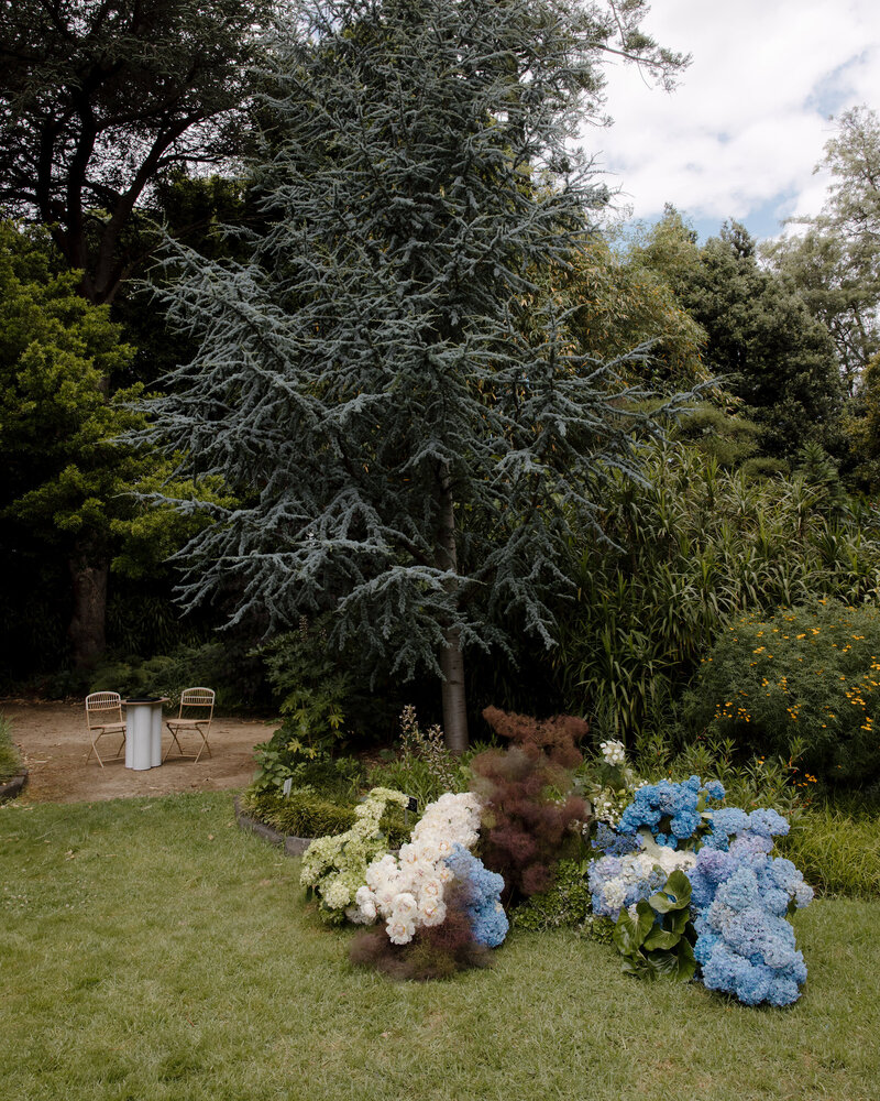 A serene outdoor wedding setup at Burnley Gardens in Richmond, featuring a backdrop of tall, lush trees and a mix of greenery. In the foreground, there is a cluster of beautifully arranged blue and white hydrangeas, along with soft, burgundy-hued foliage adding texture and depth to the scene. The vibrant flowers sit on the edge of a neatly manicured lawn, blending seamlessly into the natural surroundings. To the left, two simple wicker chairs and a small white table are set on a dirt path, offering a quiet, intimate seating area. The towering trees and dense shrubbery create a peaceful, secluded atmosphere, perfect for an outdoor wedding ceremony or reception. The sky above is partly cloudy, with soft light filtering through, enhancing the calm and romantic ambiance.