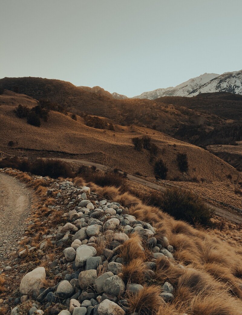 videographer-showit-website-template-effect_0023