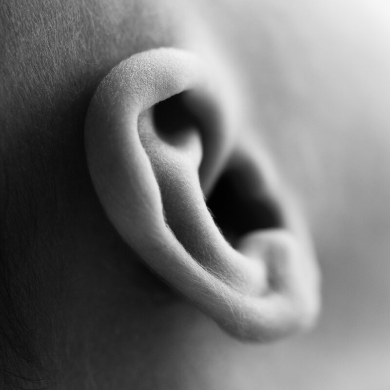 A fine-art macro of a newborn’s ear—an elegant curve in a peaceful moment.