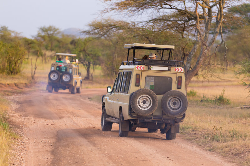 Go on Breathtaking Excursions and Safari on a Luxury Retreat in Africa