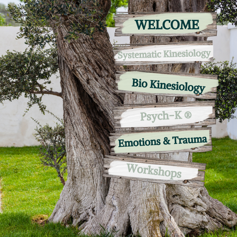Treatments List including Kinesiology Treatments Emotions & Trauma Release Psych-K