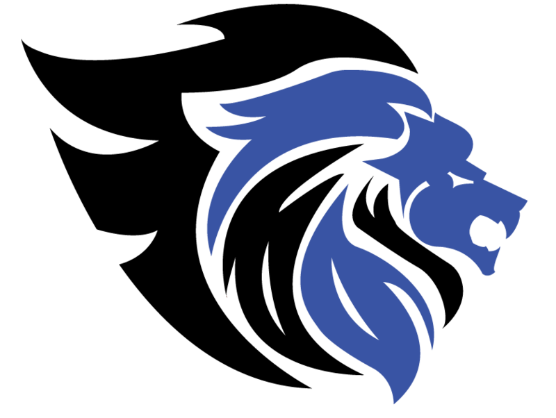 NSClion