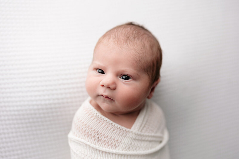 memphis newborn photography by jen howell 15