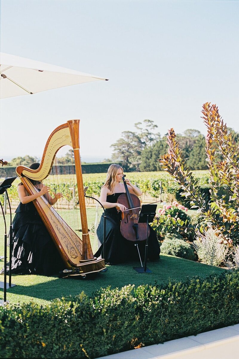 ADORN STRINGS - MARCH 2025-105