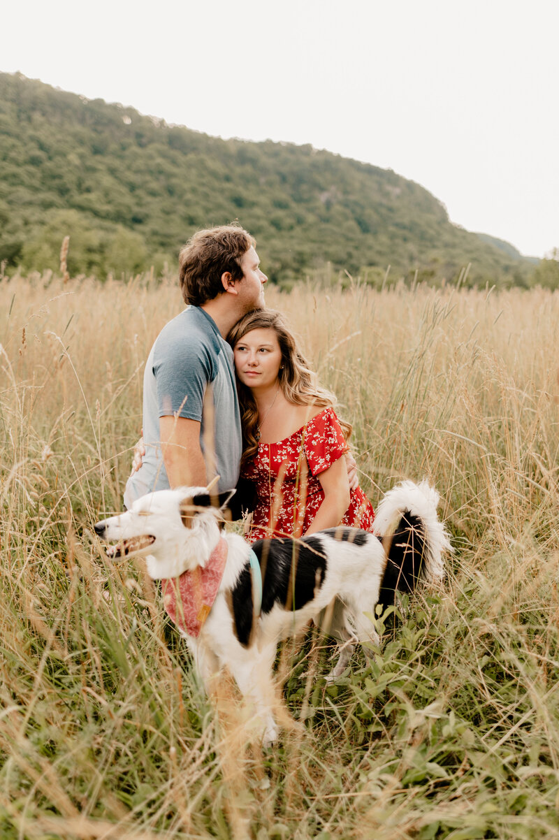 engagement couple posing with their dog in a field