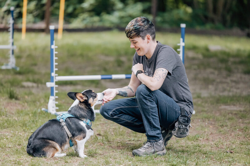 Dog Trainer Brittni Hyzer crouches to hand a black, white, and brown corgi a treat.