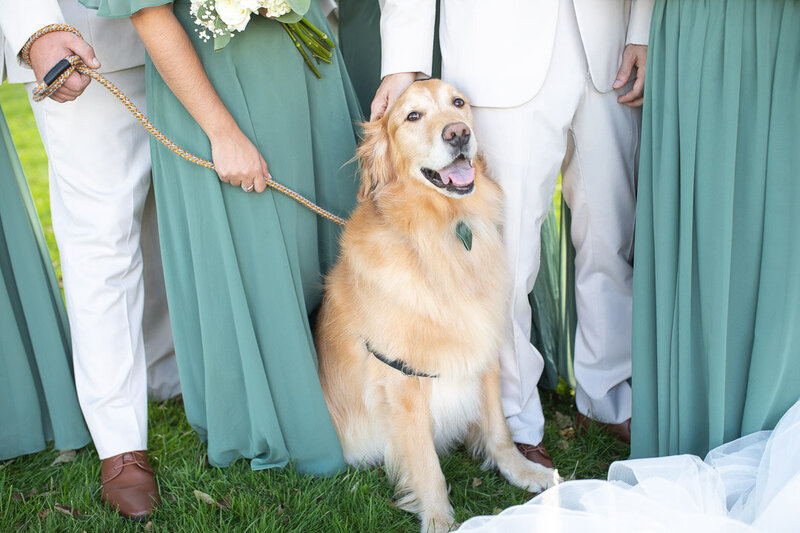 Windridge Estate Wedding_Blush Wood Studios (39 of 48)