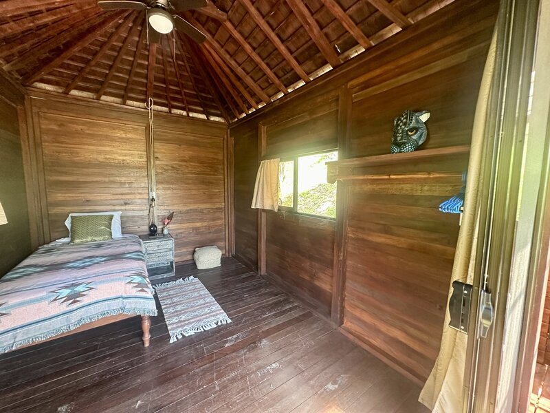 Jungle Cabin Single C2