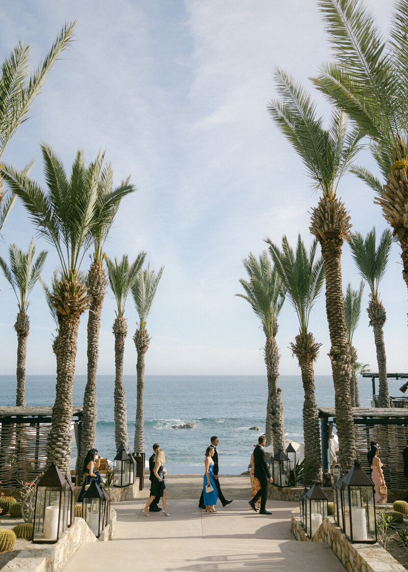 cabo-wedding-Holly Clark Photography -598