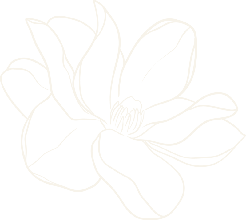 Cream Magnolia Graphic