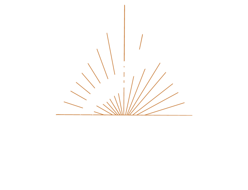 Bailee Starr Photography logo