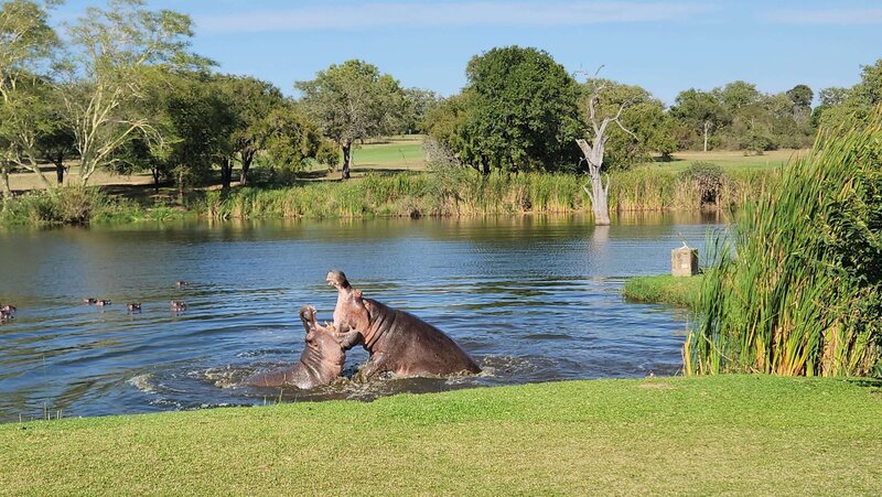 Skukuza Golf Course 1