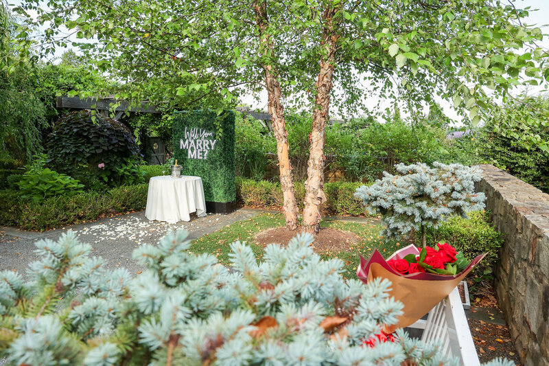 Buchi-&-Tynelle-Salamander-Resort-Surprise-Proposal(photobywww.jonflemingphotography.com)-11