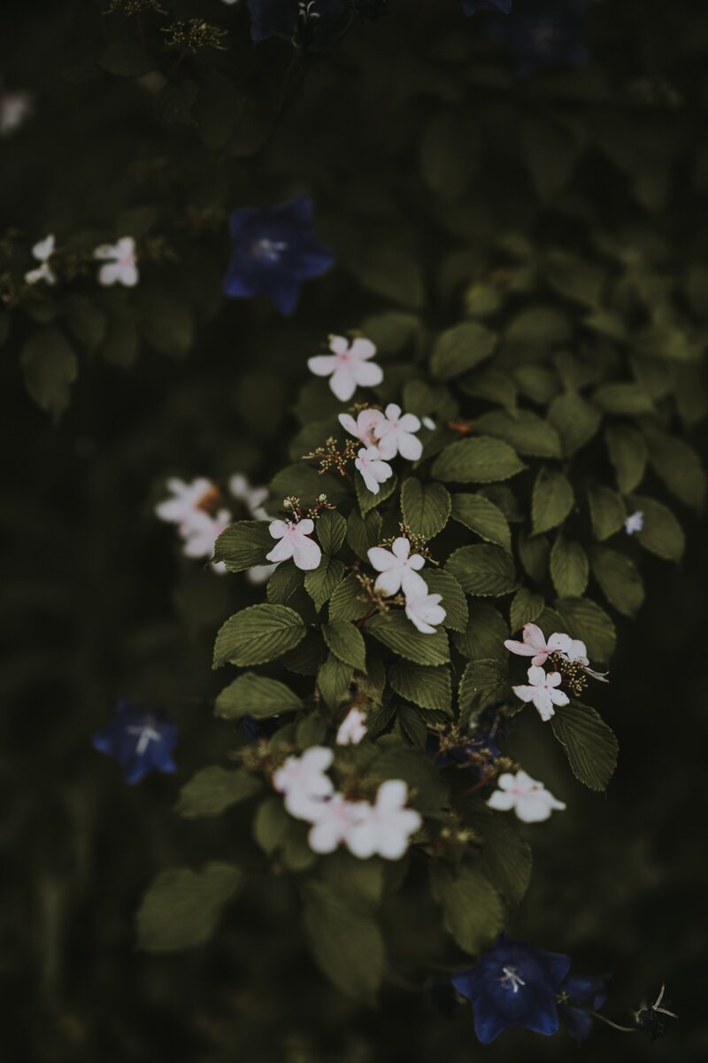 annie-spratt-M41nNCgxuzo-unsplash