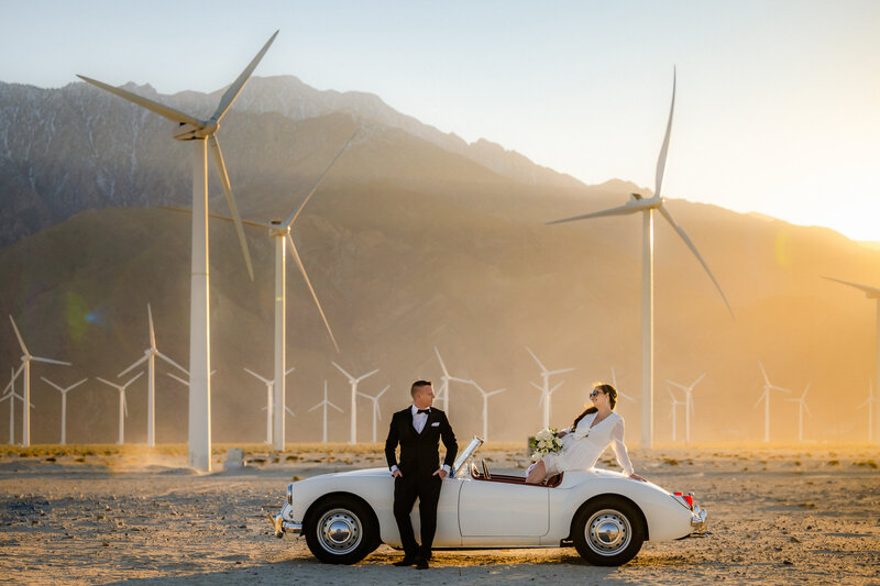Wedding photos at Palm Springs Windmills