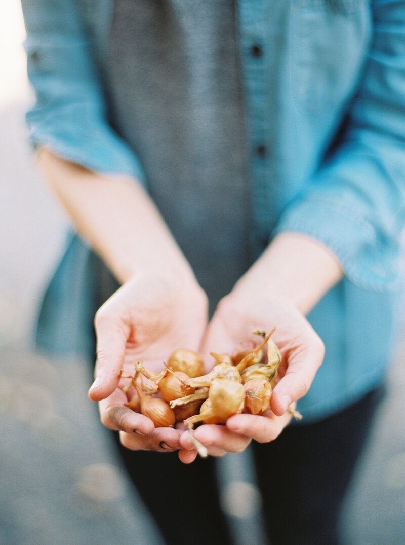 Garden_Social-Squares_Styled-Stock_01333