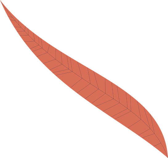 red cartoon leaf