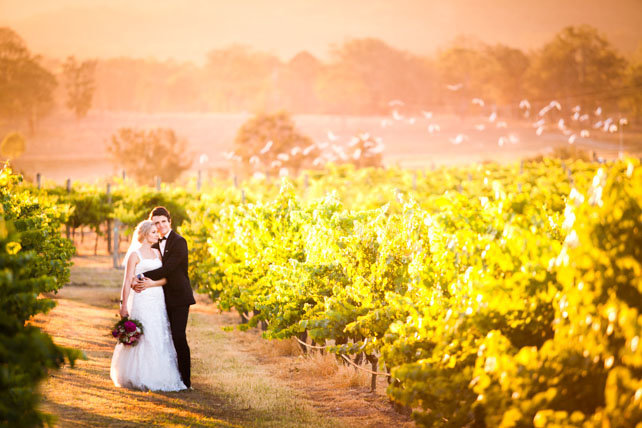 Albert River Wines Wedding Photo-19
